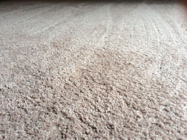 Plush Carpet Installation in Niagara Falls