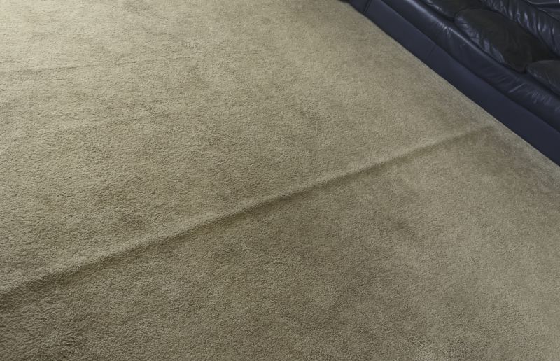 Carpet Repair Work